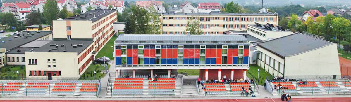 Powiatowy Młodzieżowy Obiekt Sportowy przy Zespole Szkół Technicznych w Wodzisławiu Śląskim
